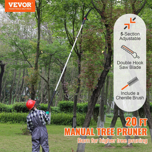 431269581