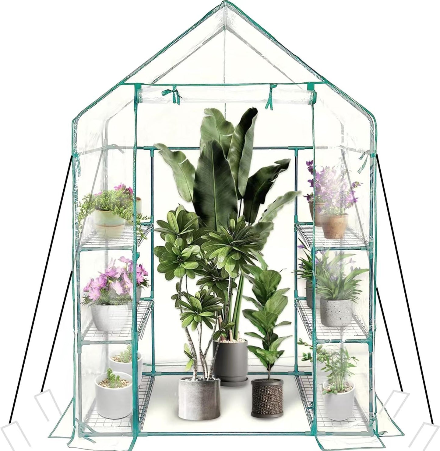 Walk in Greenhouse with 3 Tier 6 Shelves