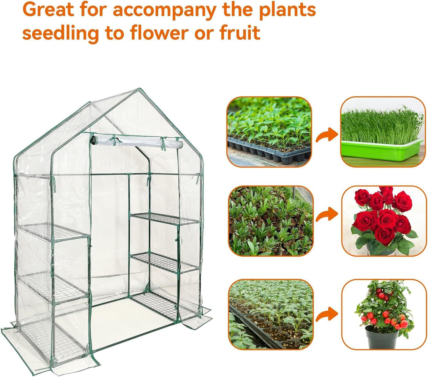 Walk in Greenhouse with 3 Tier 6 Shelves